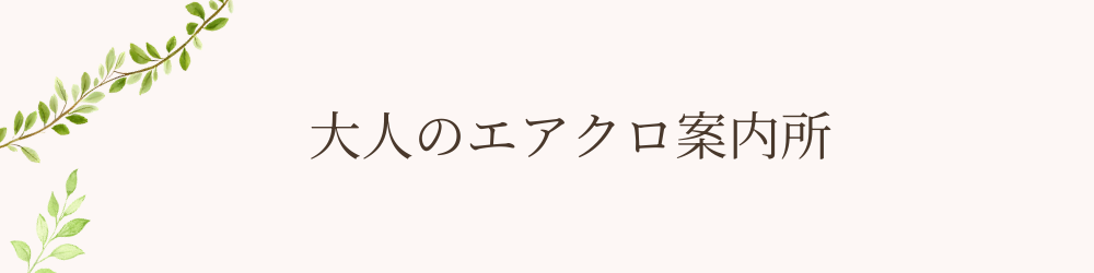 大人のエアクロ案内所